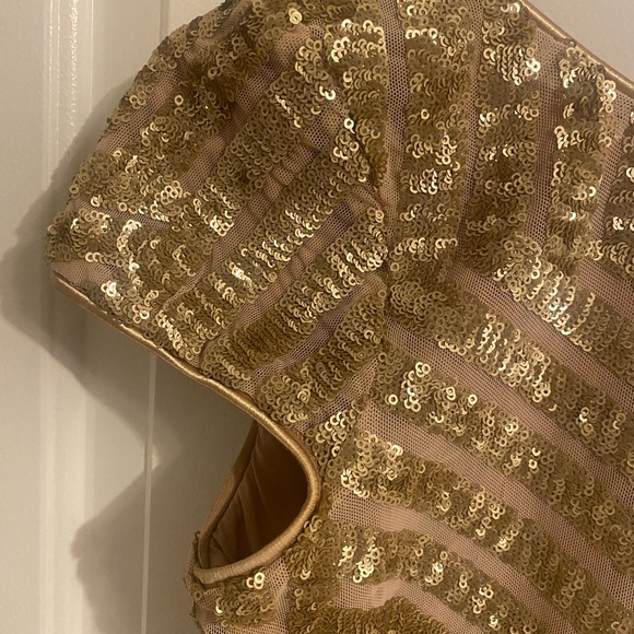 New with tag Dress The Population Dress from Nordstrom - Picture 3 of 9